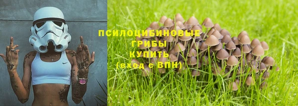 экстази Богданович